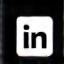 Icona LinkedIn
